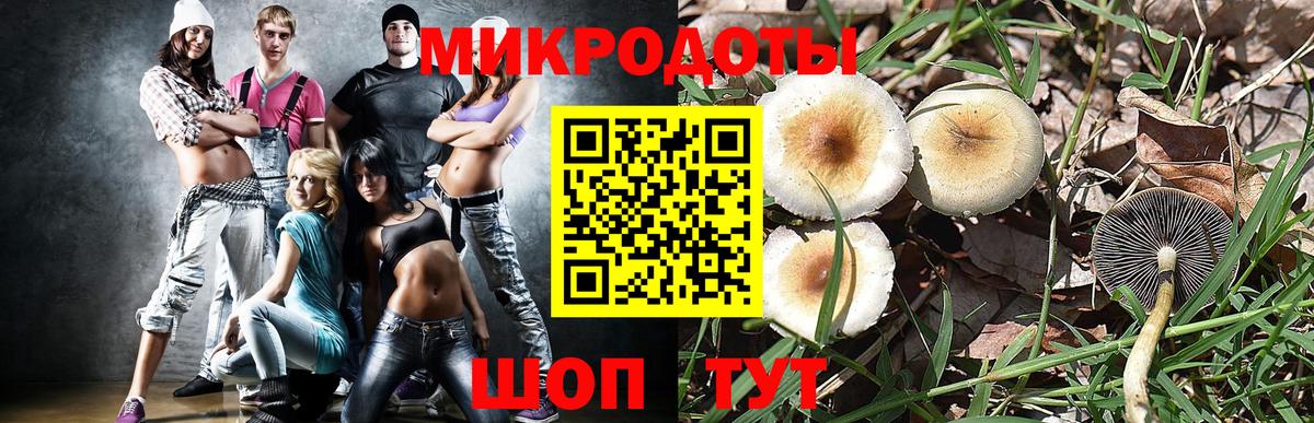Галлюциногенные грибы Psilocybe  Вход с VPN  Дубна 