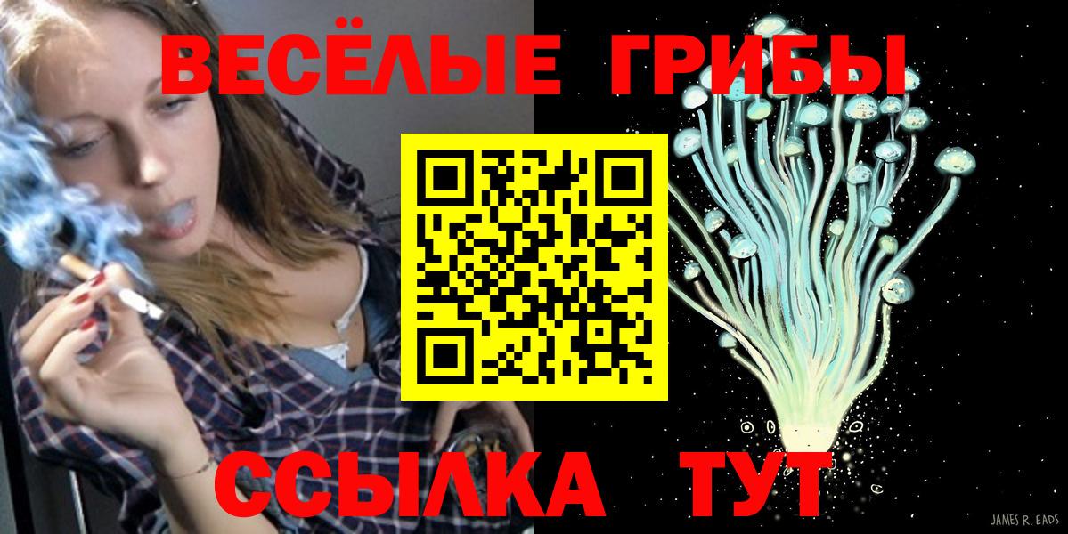 Галлюциногенные грибы ЛСД Дубна